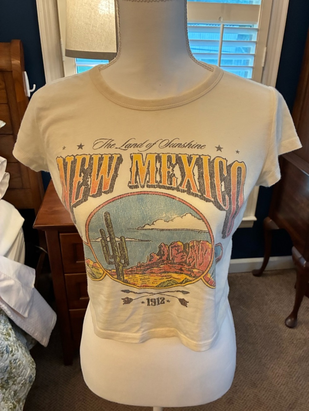 Hollister Brand Size Small New Mexico Graphic Crop Tee - Cream